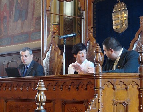 Závogyán Magdolna főigazgató, Nemzeti Művelődési Intézet Závogyán Magdolna főigazgató