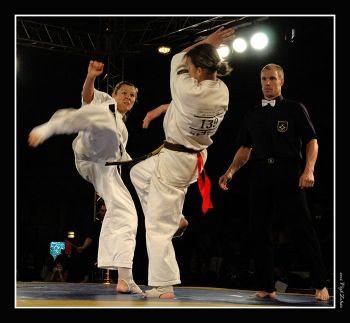 Kyokushin Karate Európa   Bajnokság