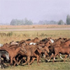 A megye turisztikája