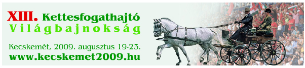 XIII.Kettesfogathajtó Világbajnokság XIII.Kettesfogathajtó Világbajnokság