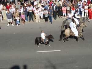 Kiskőrösi Szüret, Szlovák Nemzetiségi Napok 2009.