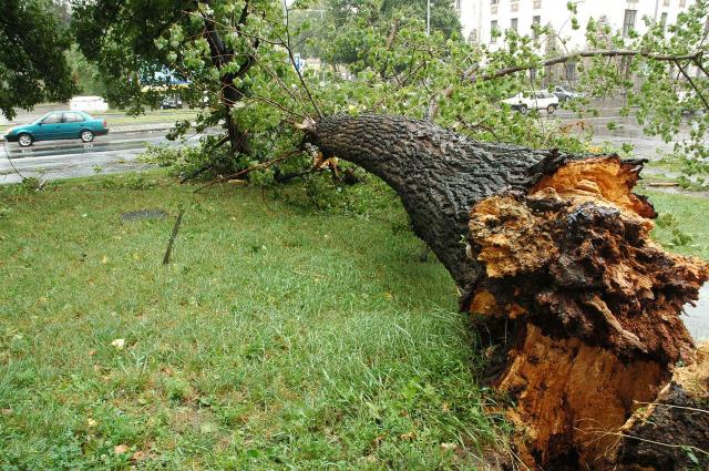 Adománygyűjtést szervez az árvízkárosultaknak a Gong rádió 