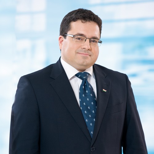Bányai Gábor, Bács-Kiskun Megye, DARFÜ Bányai Gábor Bács-Kiskun Megyei