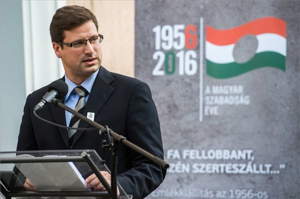 Guly&aacute;s Gergely 