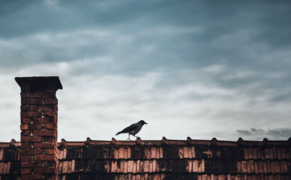 Füstölő kémény program 