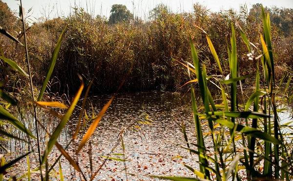 Új natúrpark alakul az Őrjegben