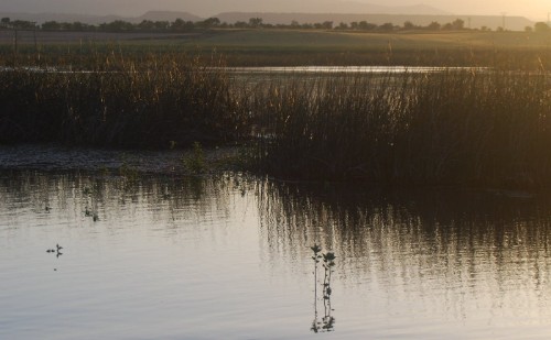 Tavakat rehabilitáltak a megyében 