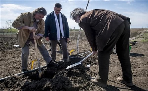 Finisben a Kecskeméti Nyírjes Modern Botanikus Kert 