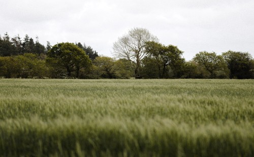 Zsanán jelentették be az újabb mezőgazdasági pályázatot